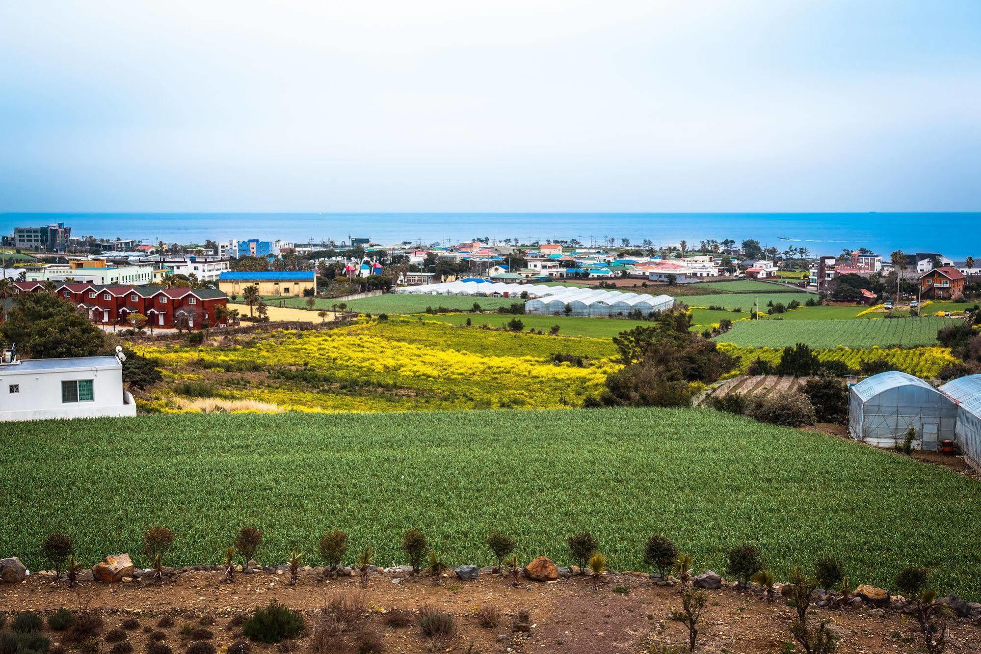 فيلا Iro Jeju Yerye-dong المظهر الخارجي الصورة